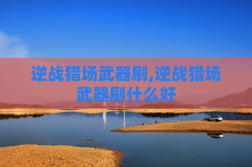 逆战猎场武器刷,逆战猎场武器刷什么好