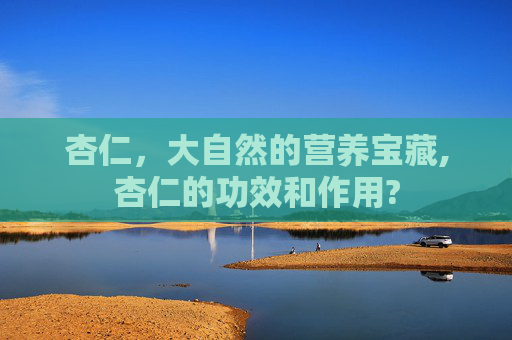 杏仁，大自然的营养宝藏,杏仁的功效和作用?