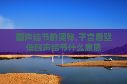 回声结节的奥秘,子宫后壁低回声结节什么意思
