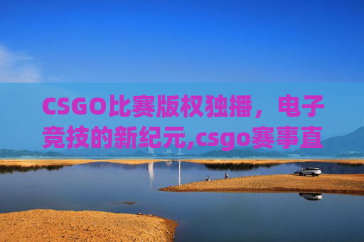 CSGO比赛版权独播，电子竞技的新纪元,csgo赛事直播哪个平台看
