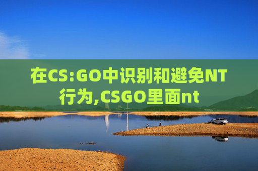 在CS:GO中识别和避免NT行为,CSGO里面nt