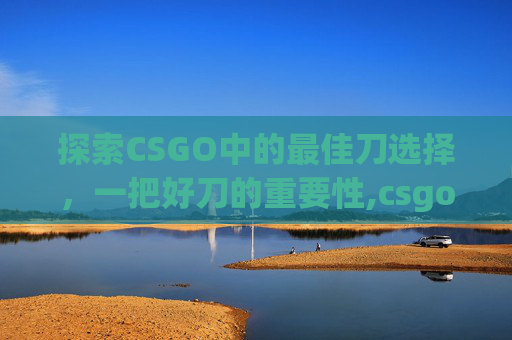 探索CSGO中的最佳刀选择，一把好刀的重要性,csgo什么刀好看