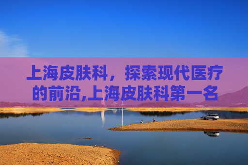 上海皮肤科，探索现代医疗的前沿,上海皮肤科第一名