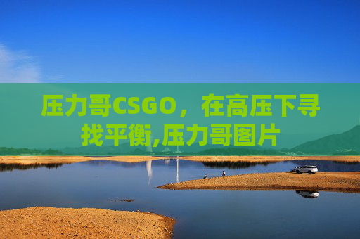 压力哥CSGO，在高压下寻找平衡,压力哥图片