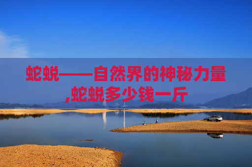 蛇蜕——自然界的神秘力量,蛇蜕多少钱一斤