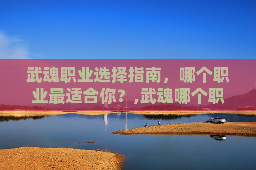 武魂职业选择指南，哪个职业最适合你？,武魂哪个职业好看