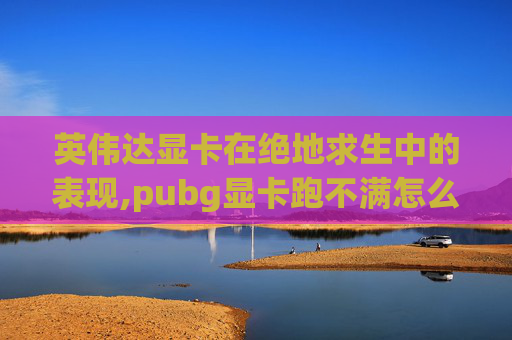英伟达显卡在绝地求生中的表现,pubg显卡跑不满怎么解决