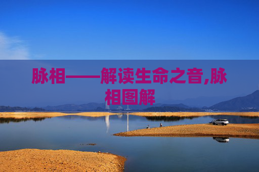 脉相——解读生命之音,脉相图解
