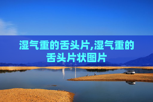 湿气重的舌头片,湿气重的舌头片状图片