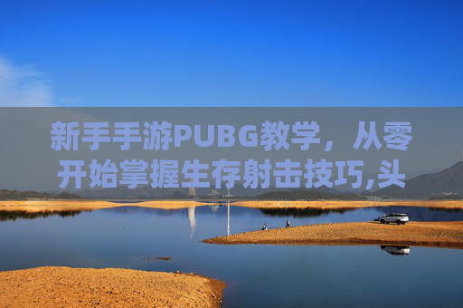 新手手游PUBG教学，从零开始掌握生存射击技巧,头顶有个凹陷按着疼