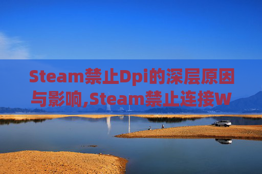 Steam禁止Dpi的深层原因与影响,Steam禁止连接WiFi