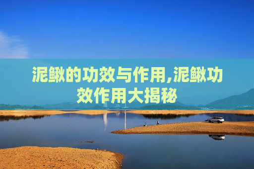 泥鳅的功效与作用,泥鳅功效作用大揭秘