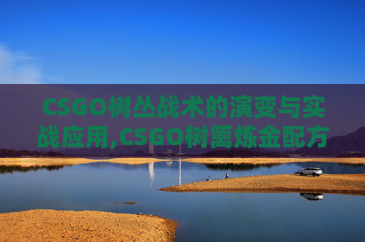CSGO树丛战术的演变与实战应用,CSGO树篱炼金配方