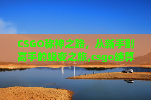 CSGO称神之路，从新手到高手的蜕变之旅,csgo结算称号