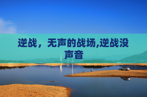 逆战，无声的战场,逆战没声音