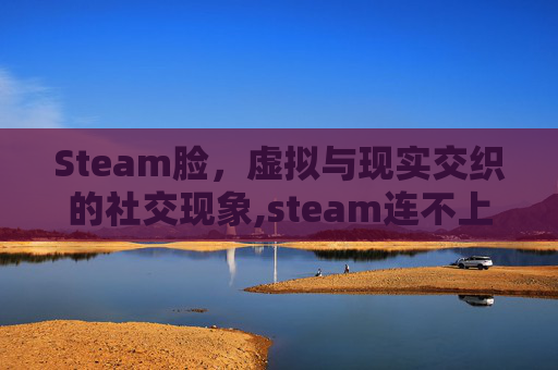 Steam脸，虚拟与现实交织的社交现象,steam连不上网络