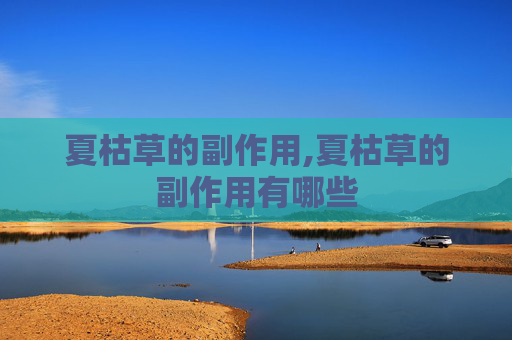 夏枯草的副作用,夏枯草的副作用有哪些 夏枯草的副作用,夏枯草的副作用有哪些