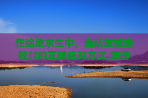 在绝地求生中，当队友被击败时的正确应对方式,端游pubg被队友击杀如何举报