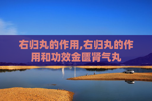 右归丸的作用,右归丸的作用和功效金匮肾气丸