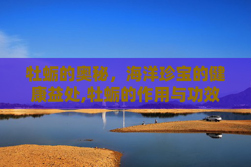 牡蛎的奥秘，海洋珍宝的健康益处,牡蛎的作用与功效和主治