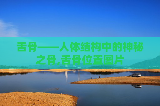 舌骨——人体结构中的神秘之骨,舌骨位置图片