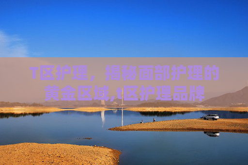 T区护理，揭秘面部护理的黄金区域,t区护理品牌