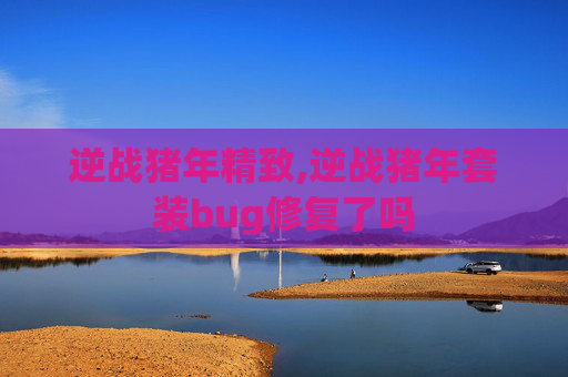 逆战猪年精致,逆战猪年套装bug修复了吗