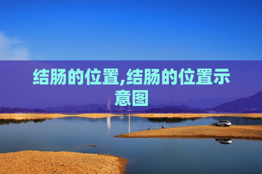 结肠的位置,结肠的位置示意图