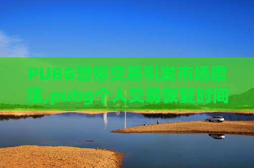 PUBG暂停交易引发市场震荡,pubg个人交易恢复时间