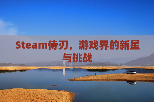 Steam侍刃，游戏界的新星与挑战