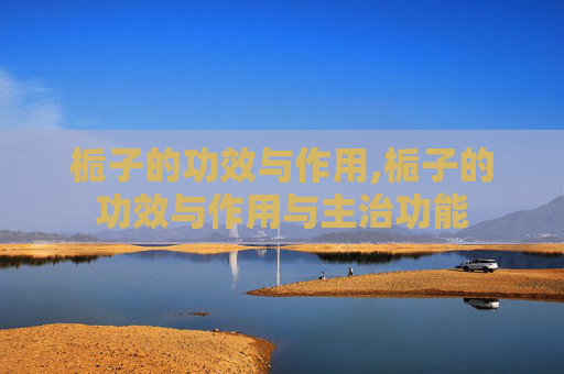 栀子的功效与作用,栀子的功效与作用与主治功能