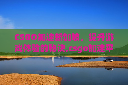 CSGO加速新加坡，提升游戏体验的秘诀,csgo加速平台还是游戏