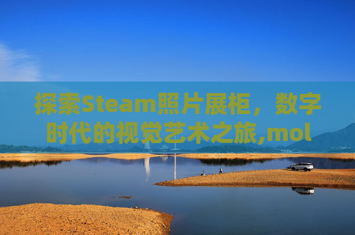 探索Steam照片展柜,数字时代的视觉艺术之旅,molodic 探索Steam照片展柜,数字时代的视觉艺术之旅,molodic