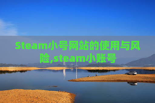 Steam小号网站的使用与风险,steam小账号