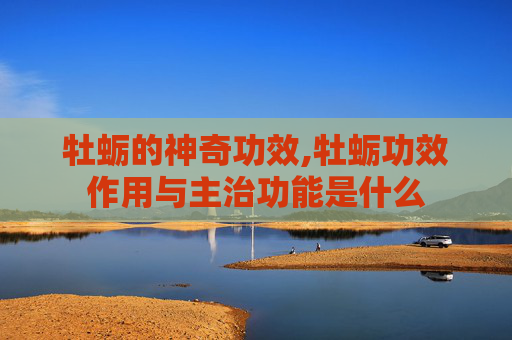 牡蛎的神奇功效,牡蛎功效作用与主治功能是什么