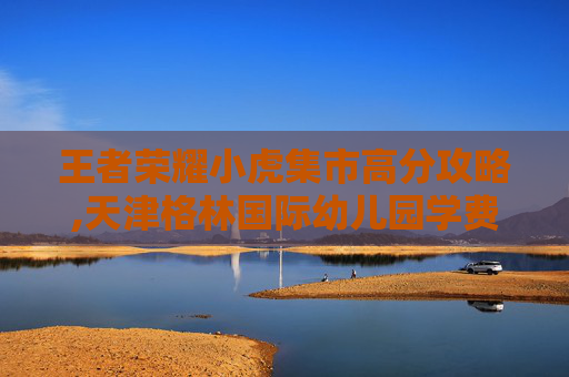 王者荣耀小虎集市高分攻略,天津格林国际幼儿园学费