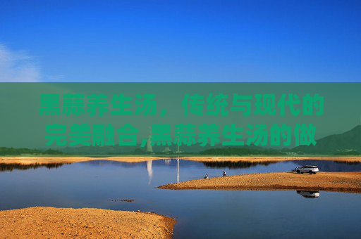 黑蒜养生汤，传统与现代的完美融合,黑蒜养生汤的做法大全