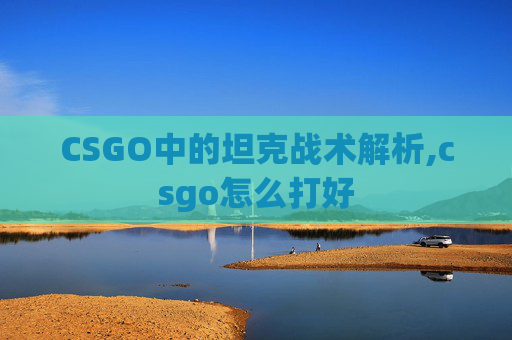 CSGO中的坦克战术解析,csgo怎么打好