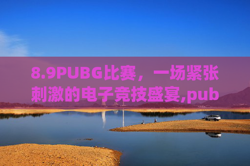 8.9PUBG比赛，一场紧张刺激的电子竞技盛宴,pubg最新比赛