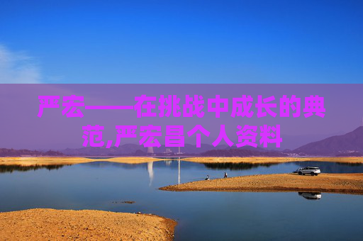 严宏——在挑战中成长的典范,严宏昌个人资料
