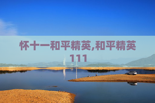怀十一和平精英,和平精英111