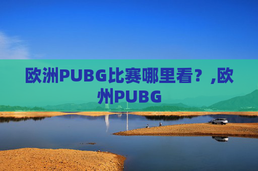 欧洲PUBG比赛哪里看？,欧州PUBG