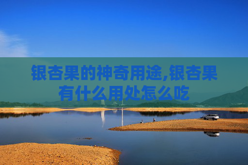 银杏果的神奇用途,银杏果有什么用处怎么吃