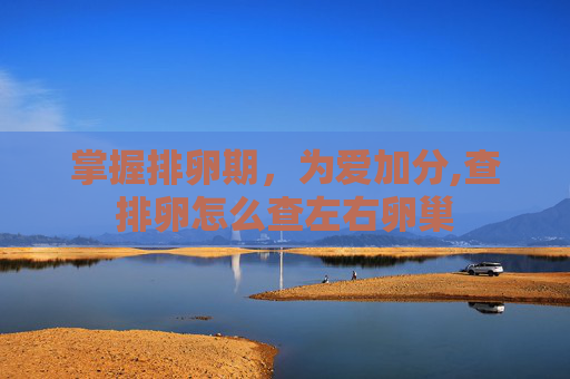 掌握排卵期，为爱加分,查排卵怎么查左右卵巢