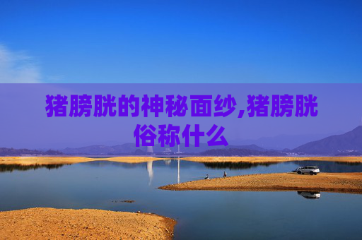 猪膀胱的神秘面纱,猪膀胱俗称什么
