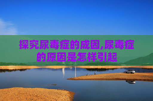 探究尿毒症的成因,尿毒症的原因是怎样引起
