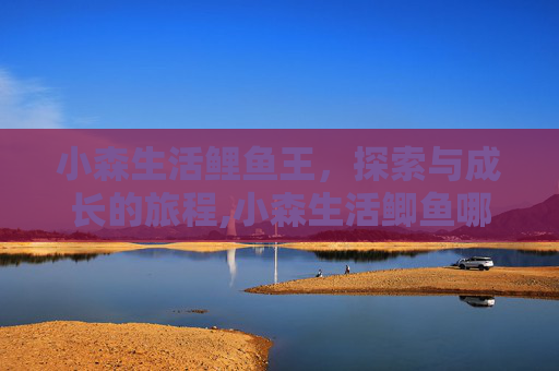 小森生活鲤鱼王，探索与成长的旅程,小森生活鲫鱼哪里多