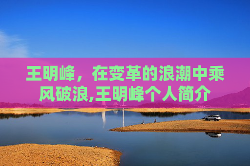 王明峰，在变革的浪潮中乘风破浪,王明峰个人简介