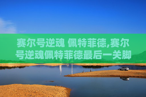 赛尔号逆魂 佩特菲德,赛尔号逆魂佩特菲德最后一关脚本