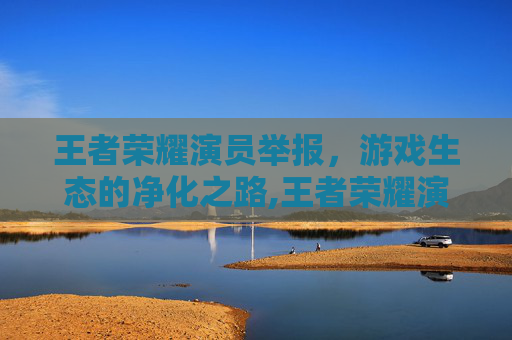 王者荣耀演员举报，游戏生态的净化之路,王者荣耀演员举报不成功怎么办